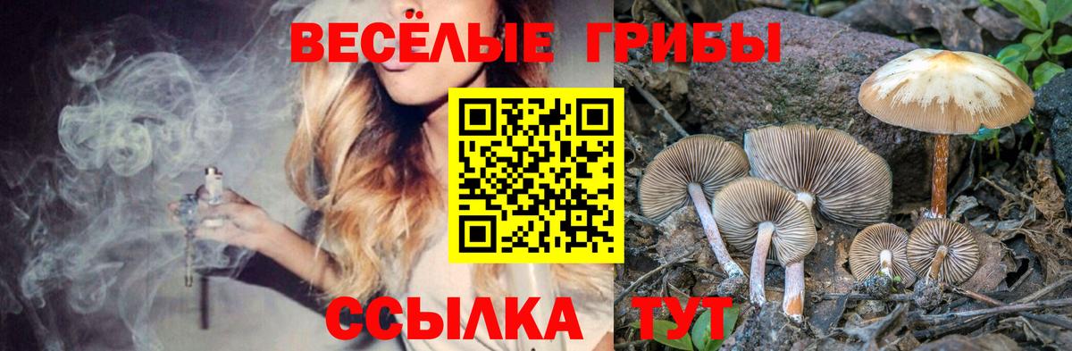 Псилоцибиновые грибы Magic Shrooms Темрюк